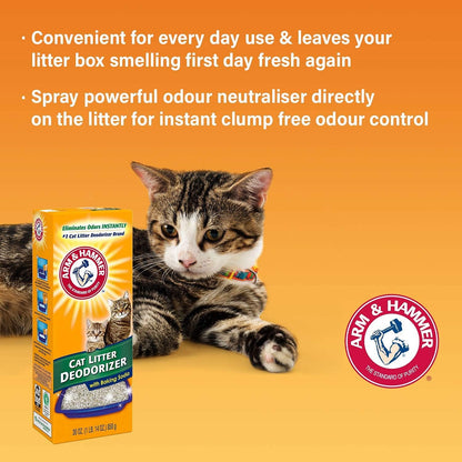 Cat Litter Deodorizer 20 Oz (Pack of 4)